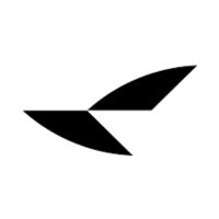 RayNeo